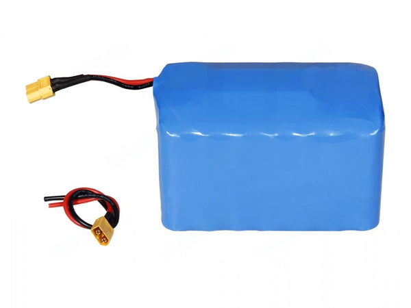 LITHIUM-ION RECHARGEABLE BATTERY PACK 18.5V 10000MAH (5S4P) WITH CHARGE PROTECTION CIRCUIT - Robodo