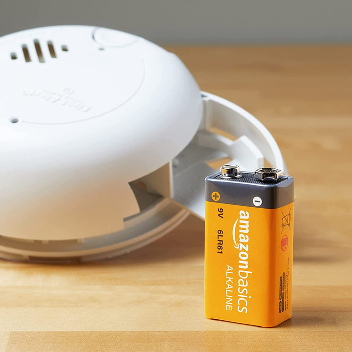 AmazonBasics 9 Volt Everyday Alkaline Batteries.