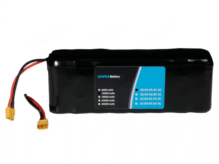 PREMIUM LIFEPO4 RECHARGEABLE E-VEHICLE BATTERY 24V 12000MAH (8S2P) 22.5V TO 29.2V - Robodo